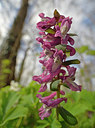 BUITEN BEELD Foto: 360471