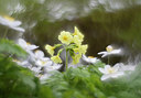 BUITEN BEELD Foto: 360472