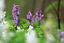 BUITEN BEELD Foto: 360491