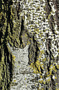 BUITEN BEELD Foto: 360513