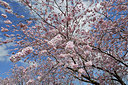 BUITEN BEELD Foto: 360516