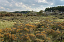 BUITEN BEELD Foto: 360551