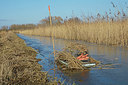 BUITEN BEELD Foto: 360556