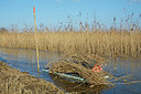 BUITEN BEELD Foto: 360557