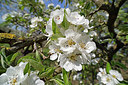 BUITEN BEELD Foto: 360563