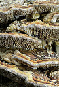 BUITEN BEELD Foto: 360575