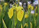 BUITEN BEELD Foto: 360583
