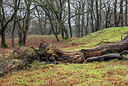 BUITEN BEELD Foto: 360630