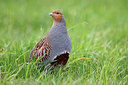 BUITEN BEELD Foto: 360640