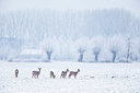 BUITEN BEELD Foto: 360671
