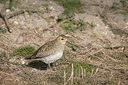 BUITEN BEELD Foto: 360717