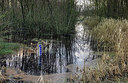 BUITEN BEELD Foto: 360750