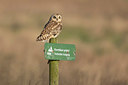 BUITEN BEELD Foto: 360765