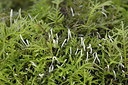 BUITEN BEELD Foto: 360777