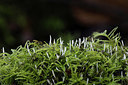 BUITEN BEELD Foto: 360779