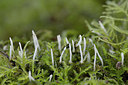BUITEN BEELD Foto: 360780