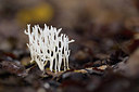 BUITEN BEELD Foto: 360819