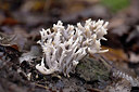 BUITEN BEELD Foto: 360821