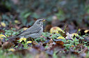 BUITEN BEELD Foto: 360825
