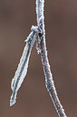 BUITEN BEELD Foto: 360862