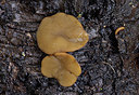 BUITEN BEELD Foto: 360874