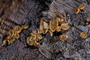 BUITEN BEELD Foto: 360875