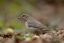 BUITEN BEELD Foto: 360920
