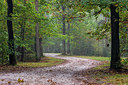 BUITEN BEELD Foto: 360938