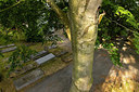 BUITEN BEELD Foto: 360943