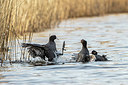 BUITEN BEELD Foto: 360948