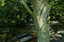 BUITEN BEELD Foto: 360954