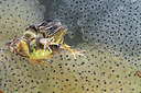 BUITEN BEELD Foto: 360961