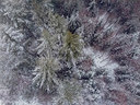 BUITEN BEELD Foto: 360983