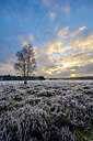 BUITEN BEELD Foto: 360999