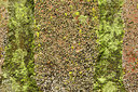 BUITEN BEELD Foto: 361045