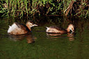 BUITEN BEELD Foto: 361076