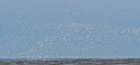 BUITEN BEELD Foto: 361100
