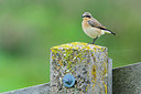 BUITEN BEELD Foto: 361101