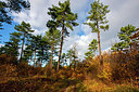 BUITEN BEELD Foto: 361432