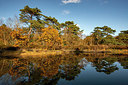 BUITEN BEELD Foto: 361593