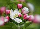BUITEN BEELD Foto: 361673