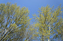 BUITEN BEELD Foto: 361691