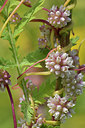BUITEN BEELD Foto: 361725