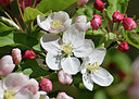 BUITEN BEELD Foto: 361752