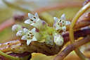 BUITEN BEELD Foto: 361763