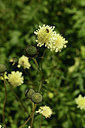 BUITEN BEELD Foto: 361768