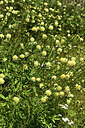 BUITEN BEELD Foto: 361770