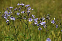 BUITEN BEELD Foto: 361789
