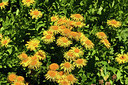BUITEN BEELD Foto: 361798