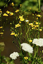 BUITEN BEELD Foto: 361799